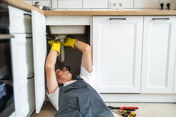 Best Shower Repair Services  in Medford, MN
