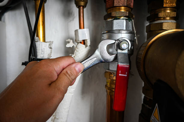 Best Same-Day Plumbing Service  in Medford, MN